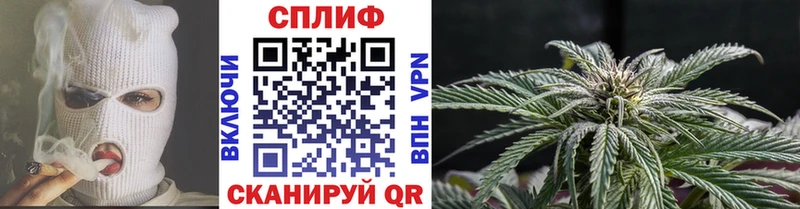 Шишки марихуана планчик Дербент